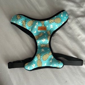 Pack Pineapple/Tropical Plant Reversible Harness